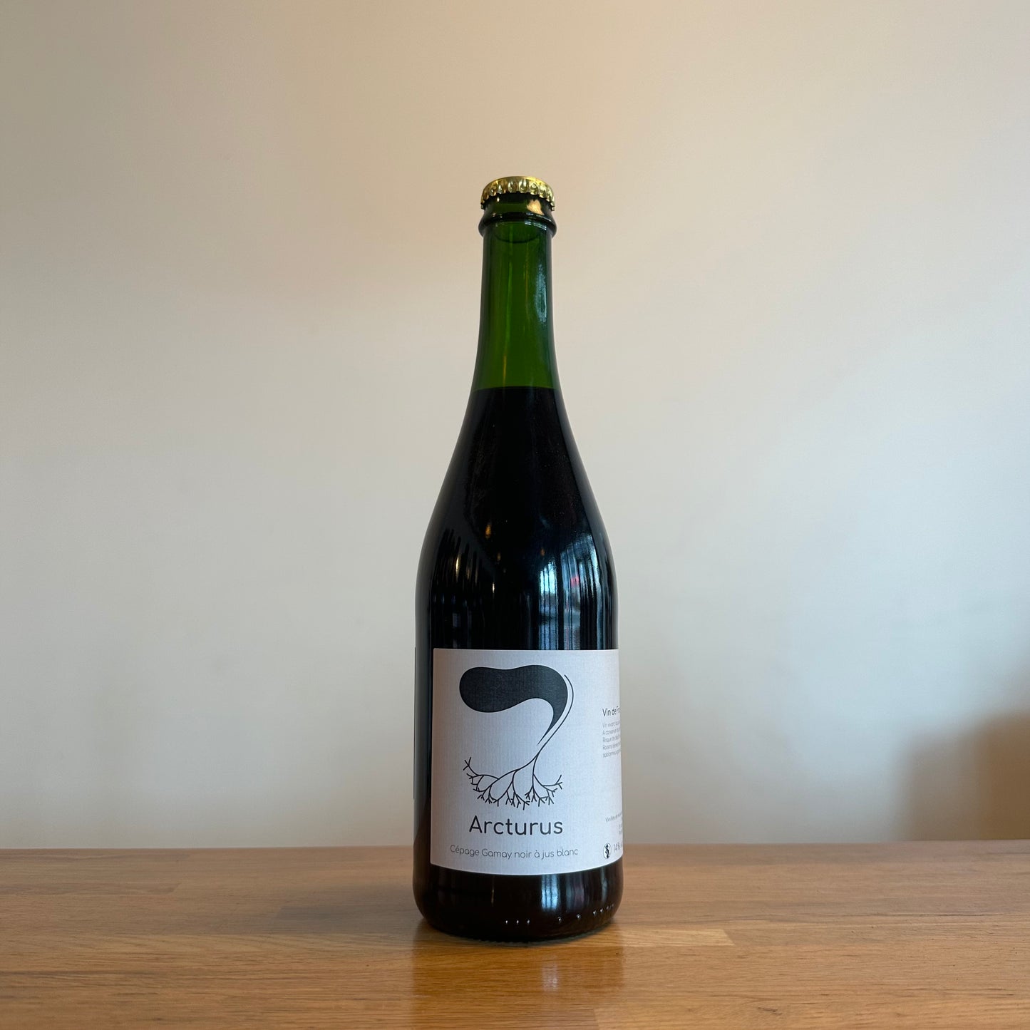 Serge Gayet, Arcturus 2023