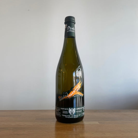 Camillo Donati, Trebbiano 2023
