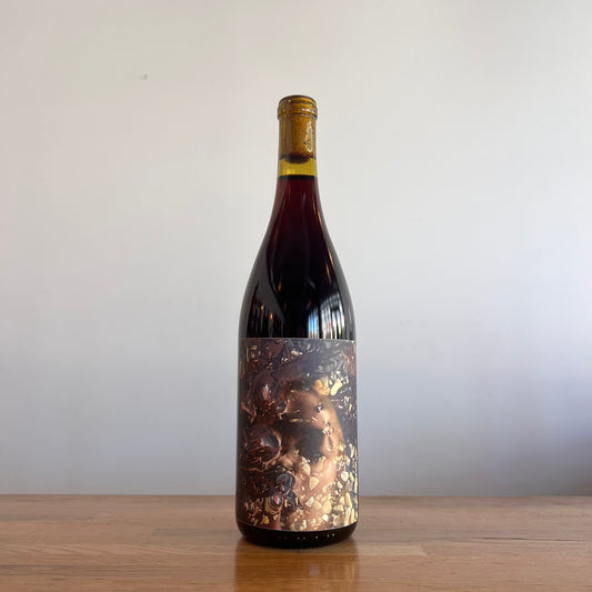 Dorsal Wines, Cicada 2023