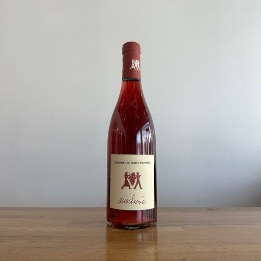 Domaine Les Terres Promises, Anachronie 2024
