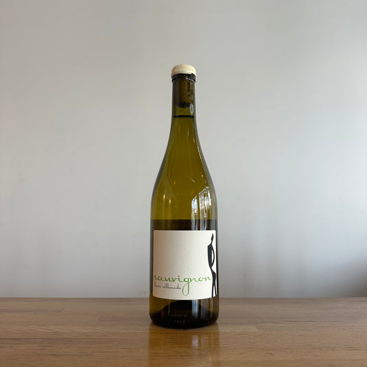 Herve Villemade, Sauvignon 2024