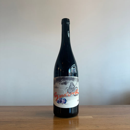 Panevino, Survivor Rosso 2023