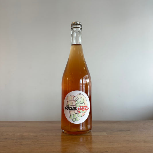 Raisin Sauvage, Le Social Traitre 2023
